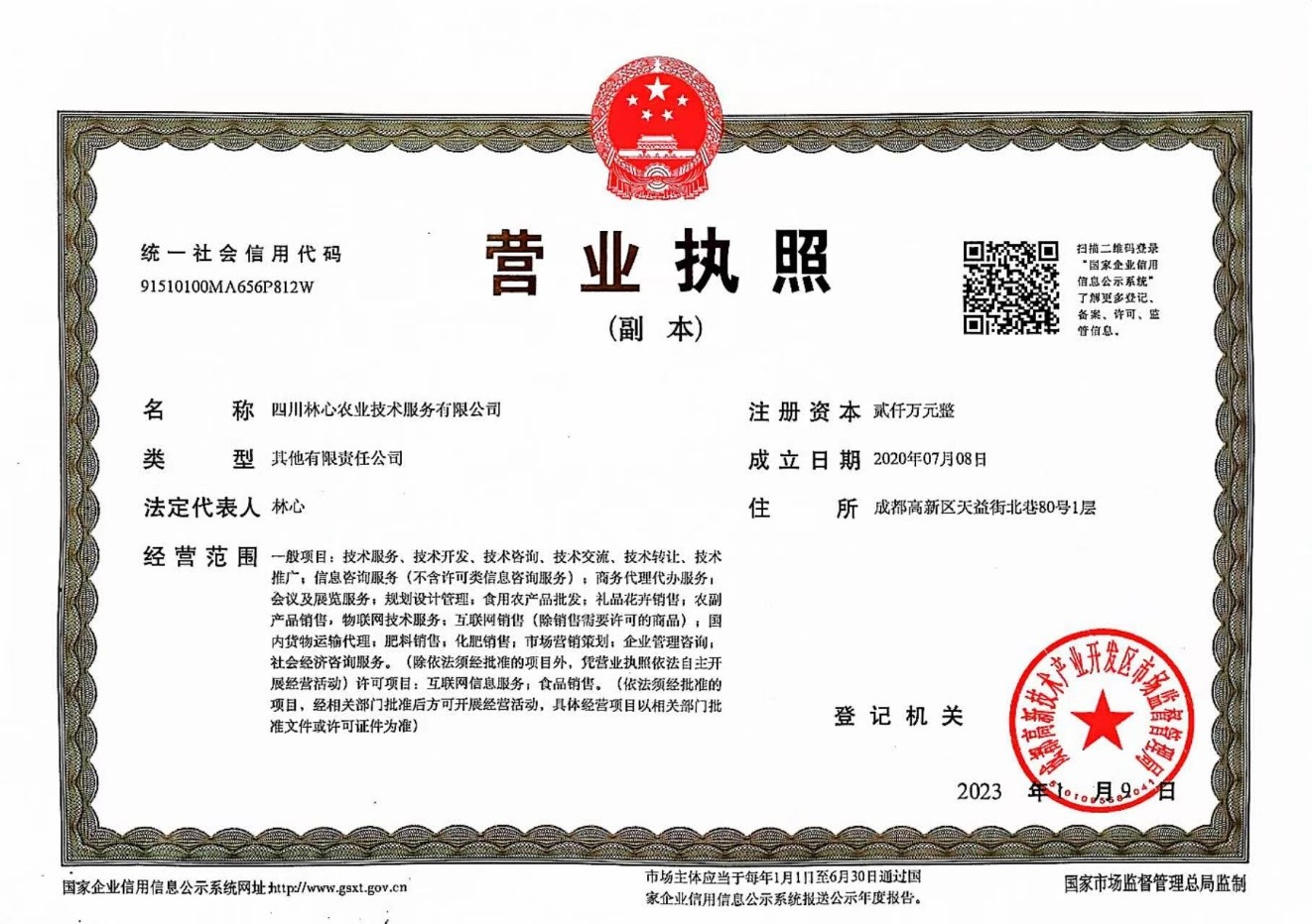 图片3